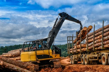 Log Loader