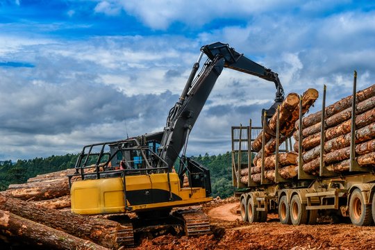 Log Loader