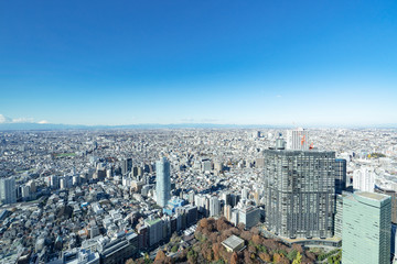 Obraz premium 都市風景 東京