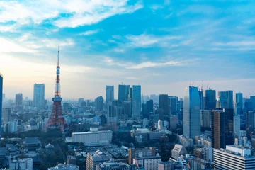 Foto op Plexiglas Stadsgezicht Tokyo avond uitzicht © siro46