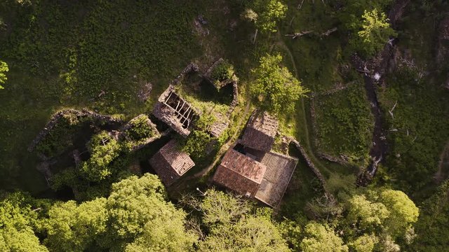 Birds Eye View Of Forest Reclaiming Ancient Ruins