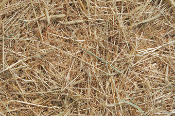 agriculture farming background texture gold straw organic hay