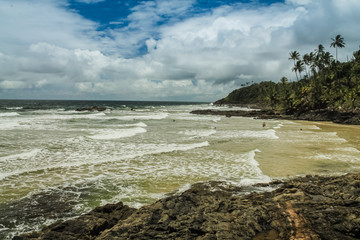 Fototapeta na wymiar The tropical beauty of northeastern Brazil - Praia do Havaizinho - Itacaré - BR
