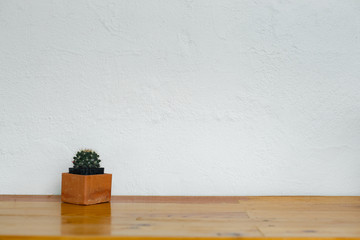 Small cactus plant in cute pots on wooden shelves on white wall.