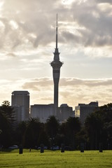Fototapeta premium City view of Auckland in New Zealand