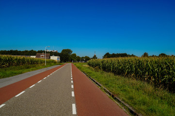 Fototapeta na wymiar road and blue sky in Roosendaal holland