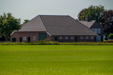 Fototapeta na wymiar farmhouse with lawn and grass