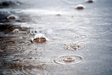 Rain Drops Bubble Macro