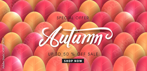 Autumn leaves background. Seasonal lettering.vector illustration.Promotion sale banner of autumn season.
