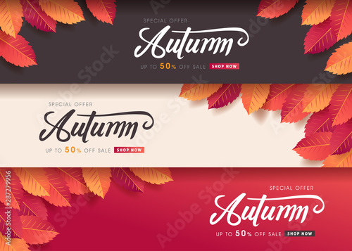 Autumn leaves background. Seasonal lettering.vector illustration.Promotion sale banner of autumn season.