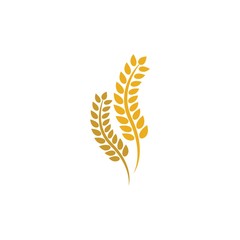 Wheat vector icon