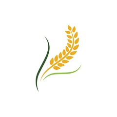 Wheat vector icon