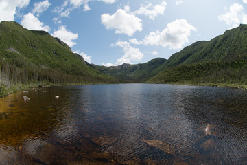 Fototapeta na wymiar Le lac et la nature