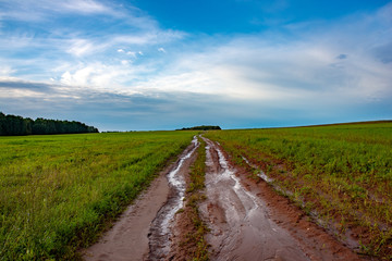 Fototapeta na wymiar After the rain. Wet swollen clay road passing through the field. Yakshur-Bodya district. Udmurt Republic, Russia