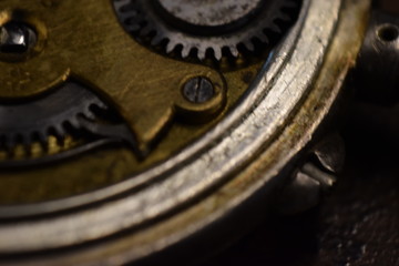 macro engranaje