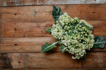 Cauliflower lies on planed boards