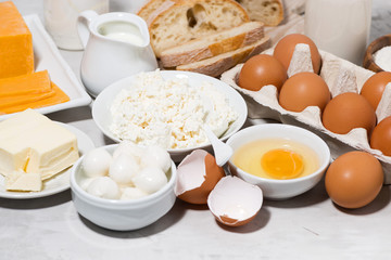 assortment of fresh dairy products