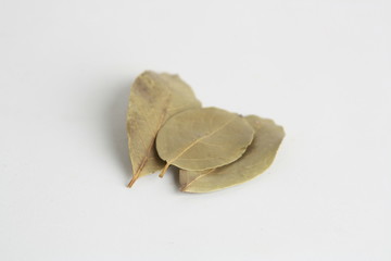 bay leaves on white background