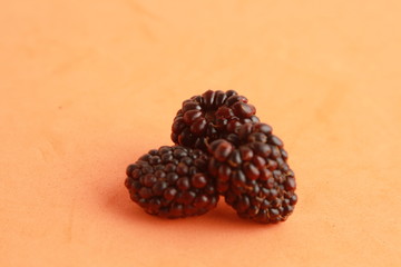 delicious blackberries on colorful background