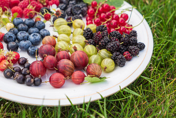 different kinds on berries on white plate