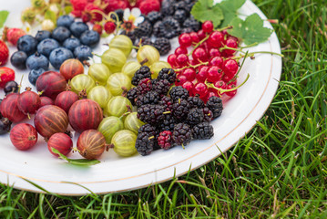 different kinds on berries on white plate
