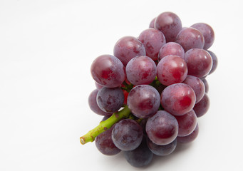 Takatuma,new kind of grape in Okayama,Japan