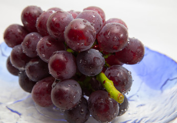 Takatuma,new kind of grape in Okayama,Japan