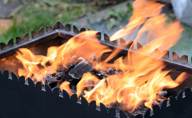 Burning birch charcoal with flame on top. Concept - Barbecue