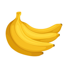 Bunch of bananas. Vector illustration on a white background.