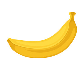 One banana. Vector illustration on a white background.