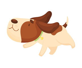 Cute beagle is running. Vector illustration on a white background.