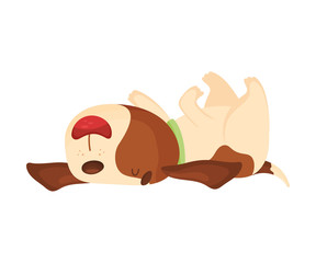 Cute beagle lies on its back. Vector illustration on a white background.