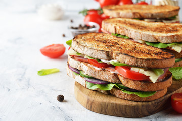 Fresh homemade sandwich