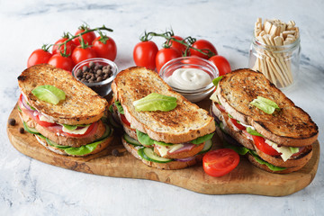 Fresh homemade sandwich