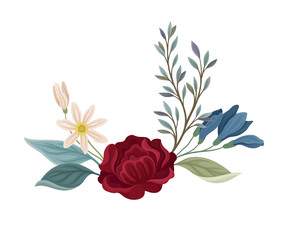 Dark red rose with white flowers. Vector illustration on a white background.