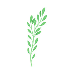Branch bright green leaves. Vector illustration on a white background.