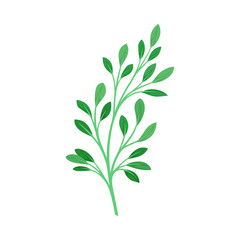Lush stem with leaves. Vector illustration on a white background.