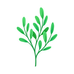 Fototapeta na wymiar Stalk with oval leaves. Vector illustration on a white background.