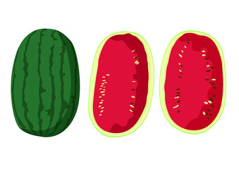 watermelon fruit fresh on white background illustration vector 