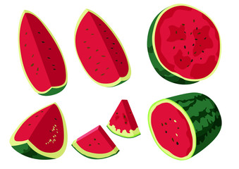 watermelon fruit fresh on white background illustration vector 