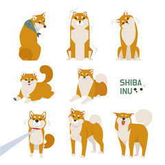 Cute Shiba Inu character in various poses. flat design style minimal vector illustration.