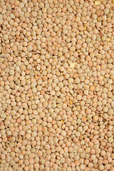 Organic green lentils background, top view. Close-up.