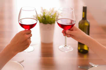 Man and woman making a toast on a date.