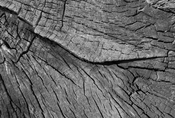 Old grunge dark textured wooden background