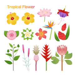Tropical flower single set design. flat design style minimal vector illustration.