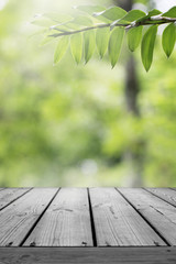 Wooden desk and green leaf nature in garden background. 