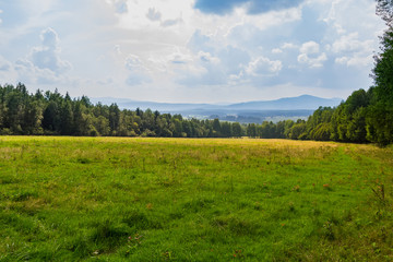 Obraz premium Nice view to summer czech meadow with trees and distant hill, Sumava national park