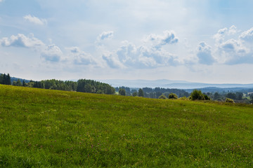 Nice view to summer czech meadow with trees, distant hill and cloudy sky, Sumava national park