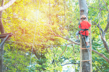 little asian girl going on the zip line and having fun in adventure Park,sport and outdoor activity concept.