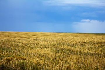 harvested field before a thunderstorm blue sky and clouds